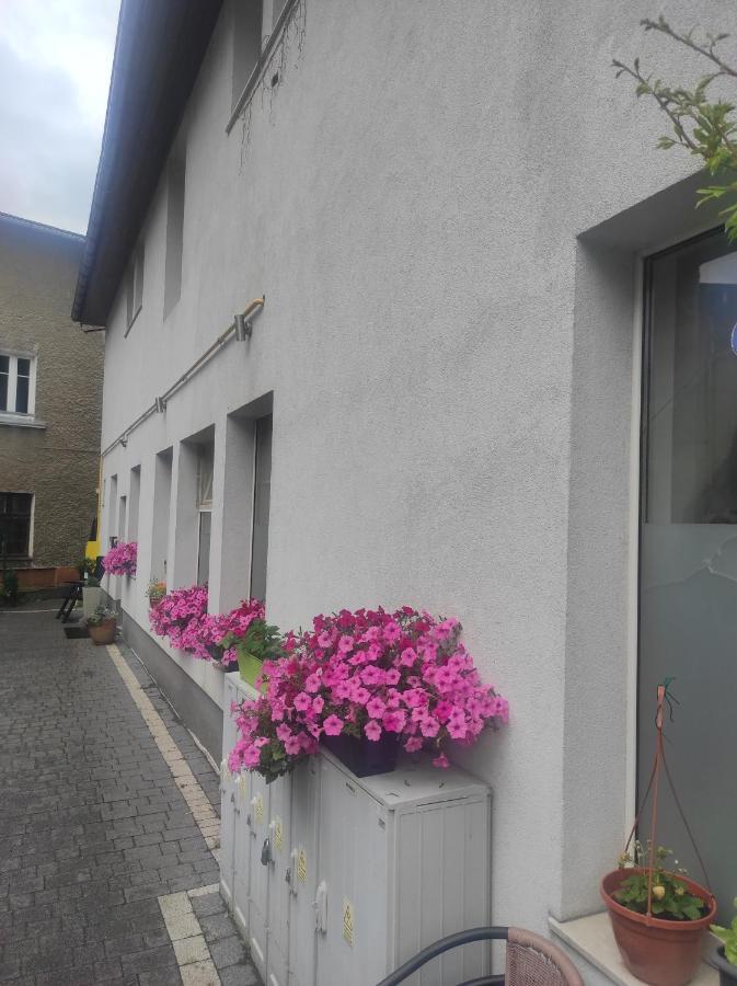 Apartamenty Centrum Wałbrzych Exteriér fotografie